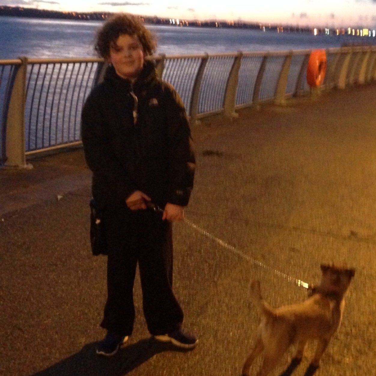 ceaserMCfox's profile picture. Am a youtuber that owns a border terrier