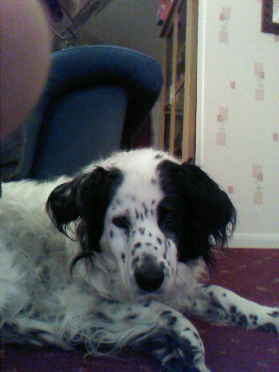 cmbrooksbank94's profile picture. 