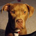 TopWaterBob - @BobAdamson2 - Twitter