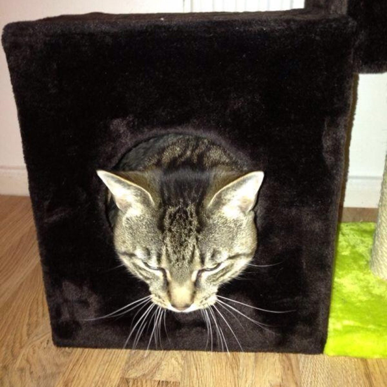 Seanrreeves's profile picture. 