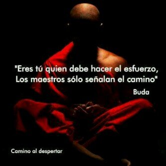 romulozerqueral@gmail.com