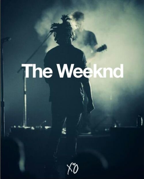 XO. 65.