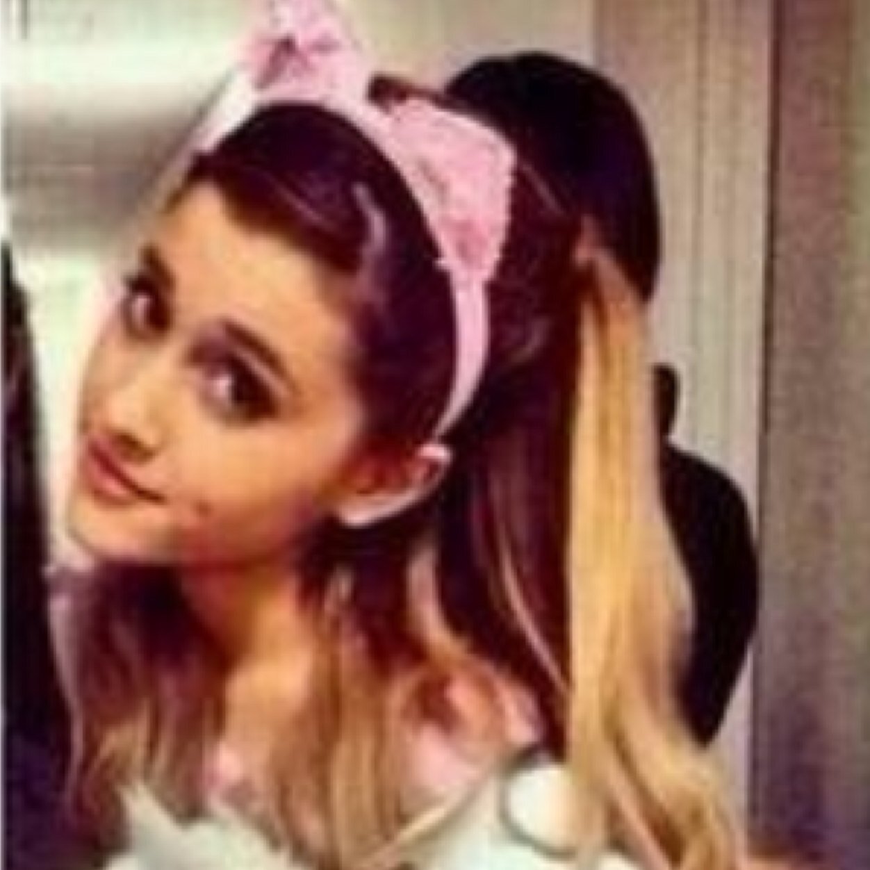 I truely love all my followers and wish to have alot more arianators following me becuse i love them and they rock!and im an arianator , thnks i love u guys