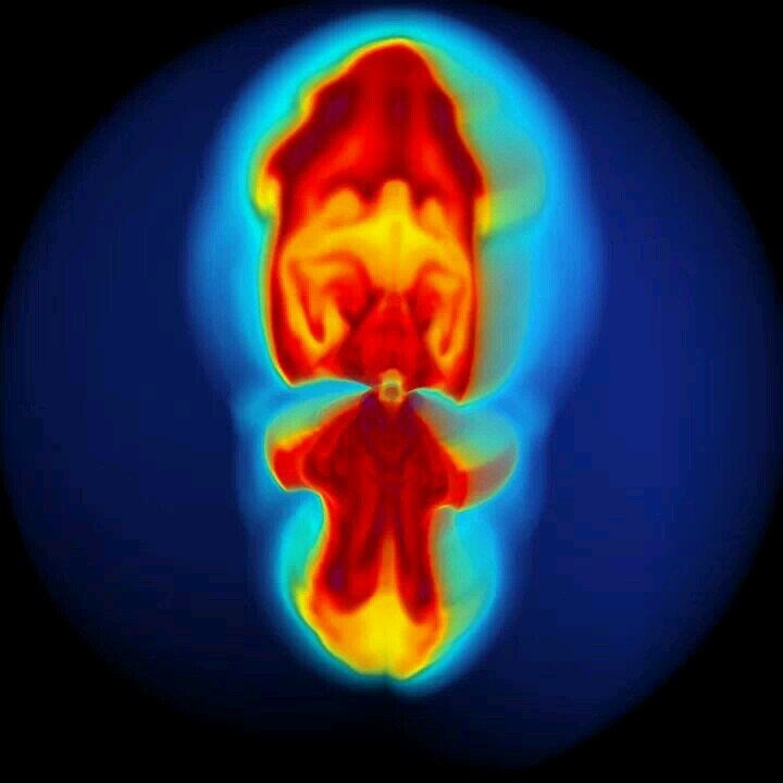 JimNova1's profile picture. almost as smart as I think I am