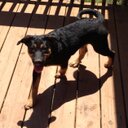 adam - @Aj77Jerome - Twitter