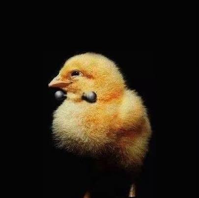 piuuuu