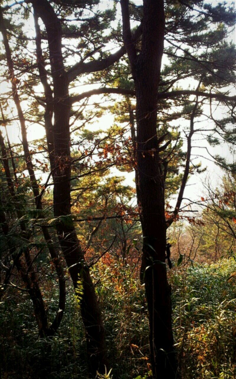 kksj6960's profile picture. 