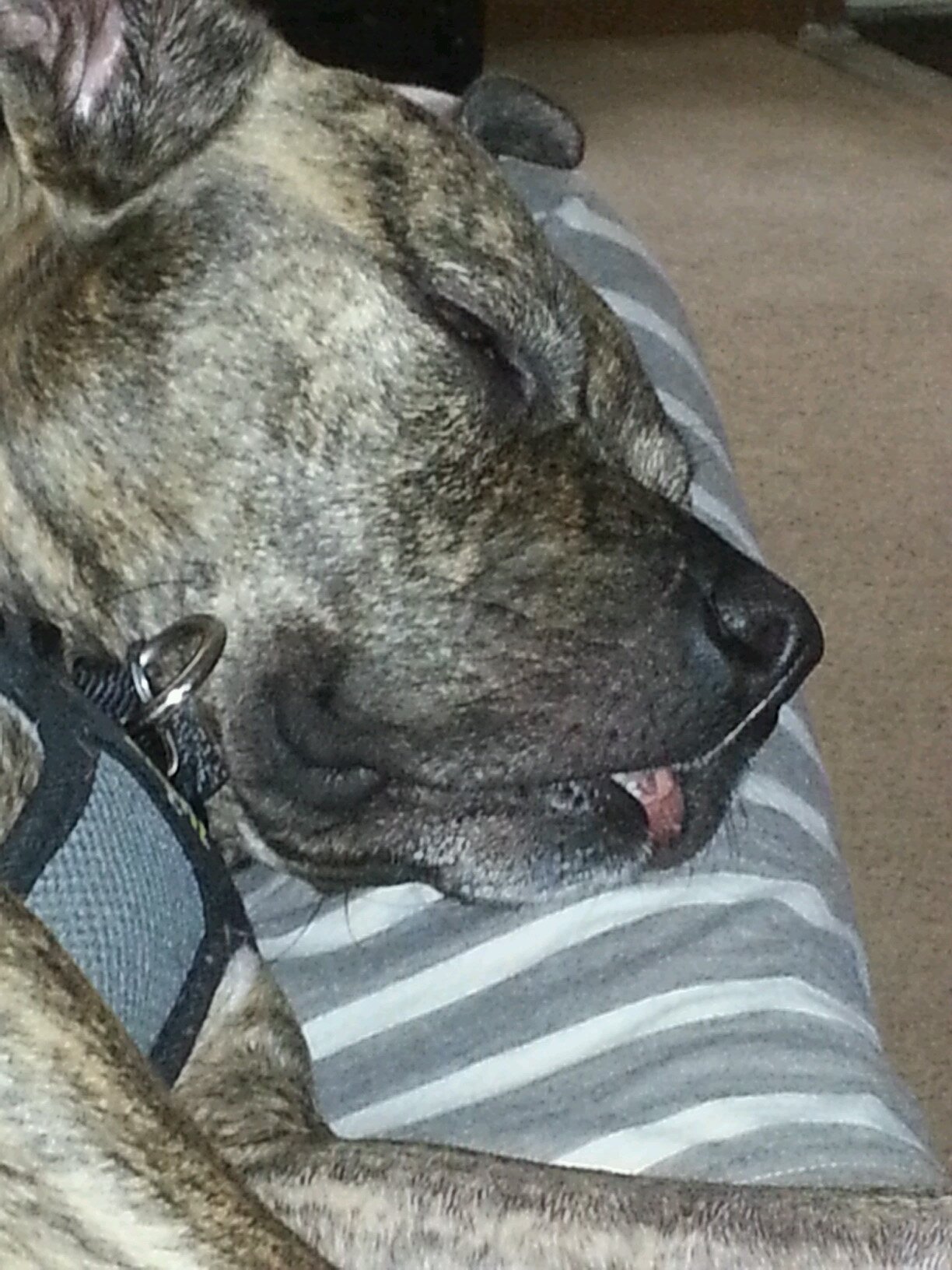 JShill59's profile picture. Get in my rear-view. Stay Close. Follow