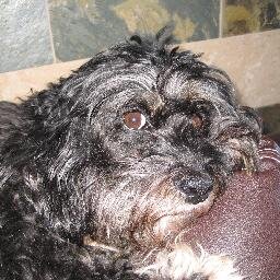 Emmapooo's profile picture. 