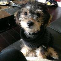 Masterchief4265's profile picture. 