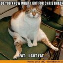 Alice Harding - @AliceHarding11 - Twitter