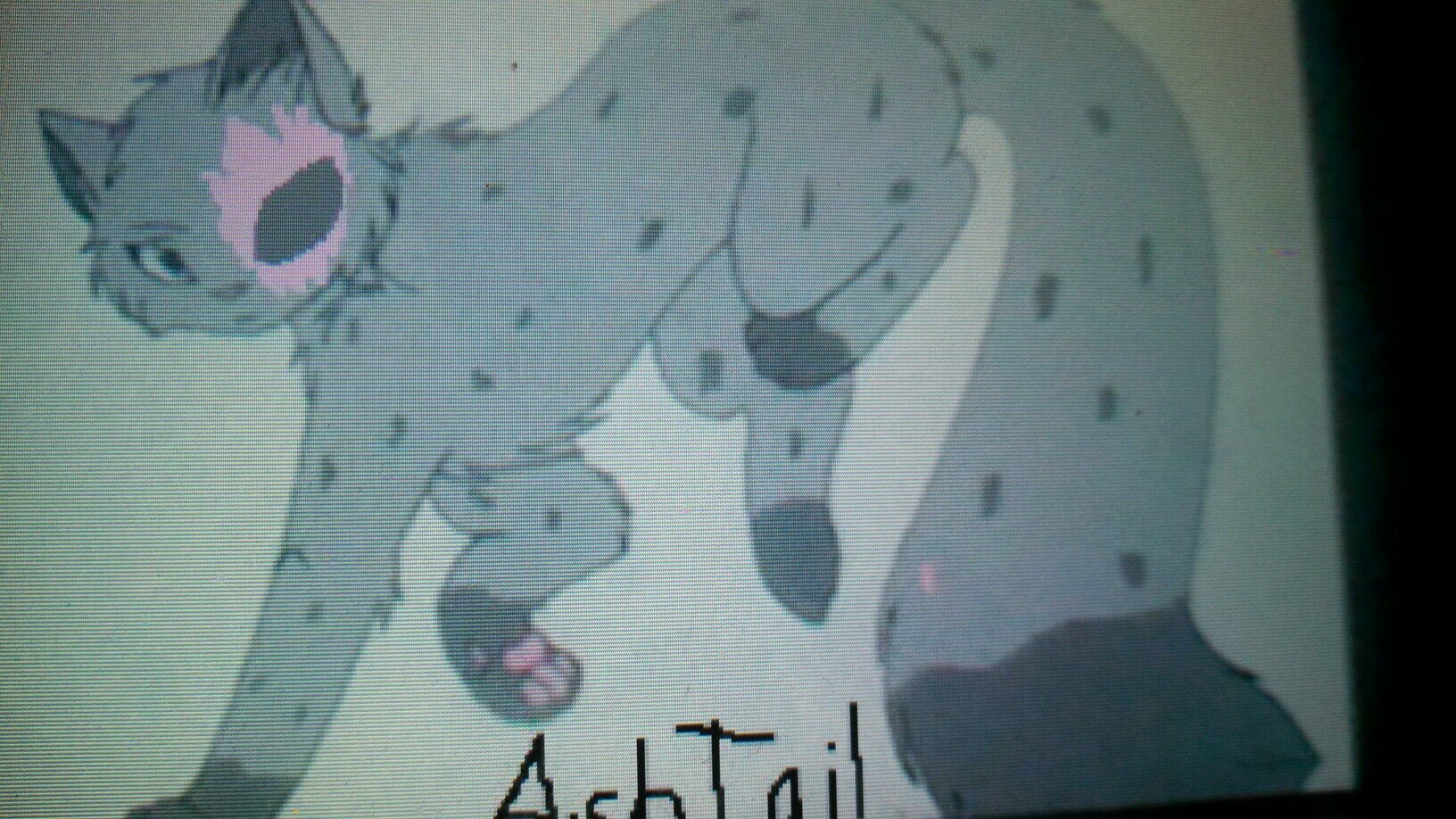 A spotted gray cat w/ blue eyes and a tear on his face... [Male] [Clan: LightningClan] [Mate: @bloodMC1] [Theme Song: Battle Born] #Taken 18 moons old