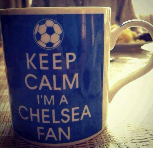 ☆ThE bLuEsE cHeLsEa.