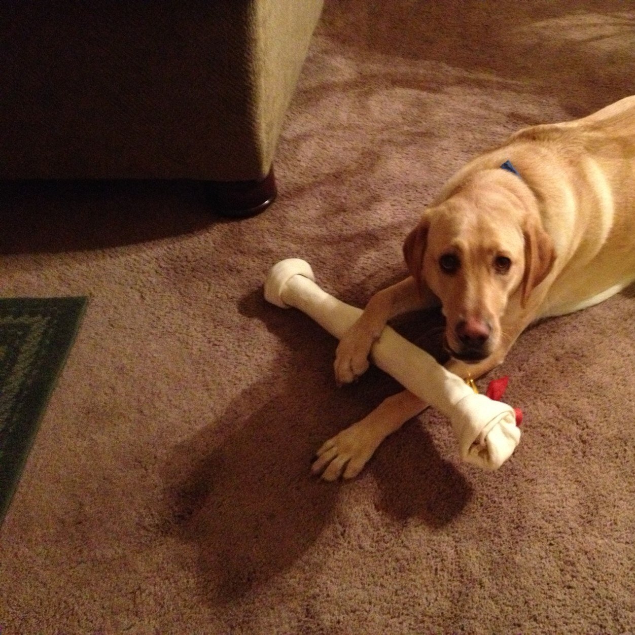 RiedelTracy's profile picture. 