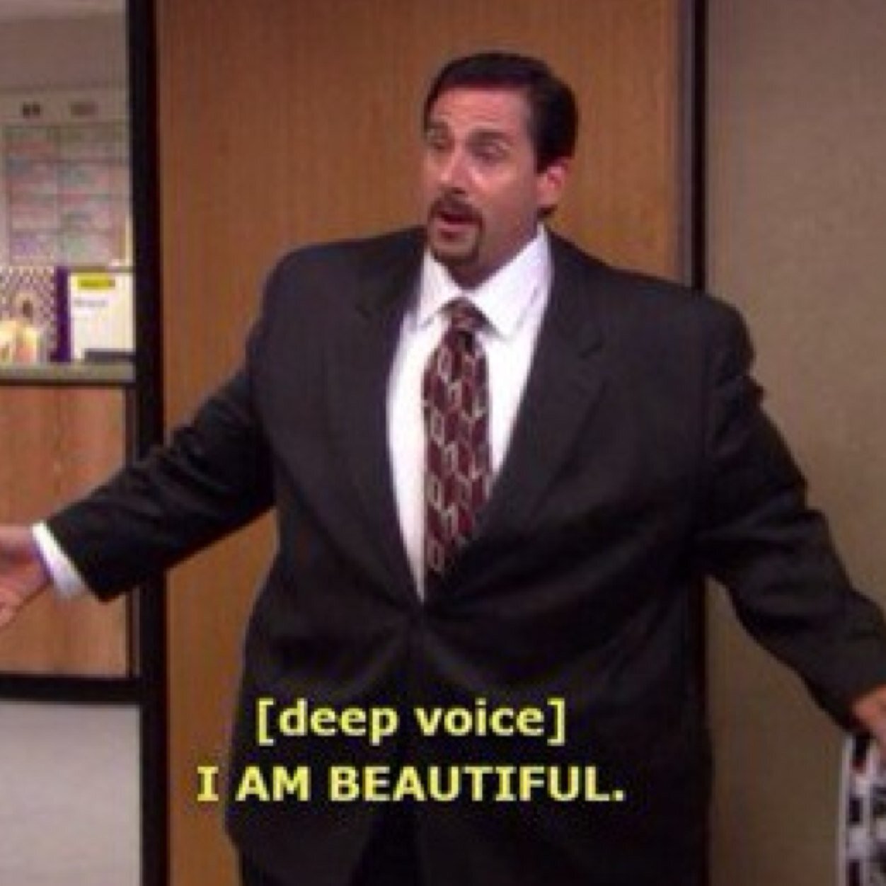 daily dunder mifflin quotes