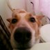 Susan Graner (@susangraner) Twitter profile photo