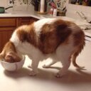 Tommy Merrill - @TommyMerrill12 - Twitter