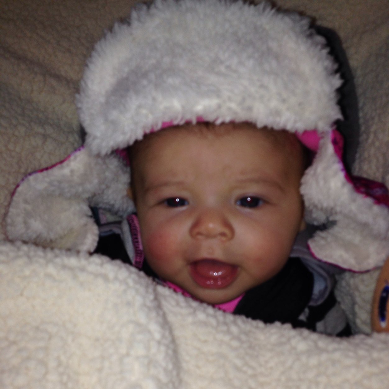 WmKoch3's profile picture. 