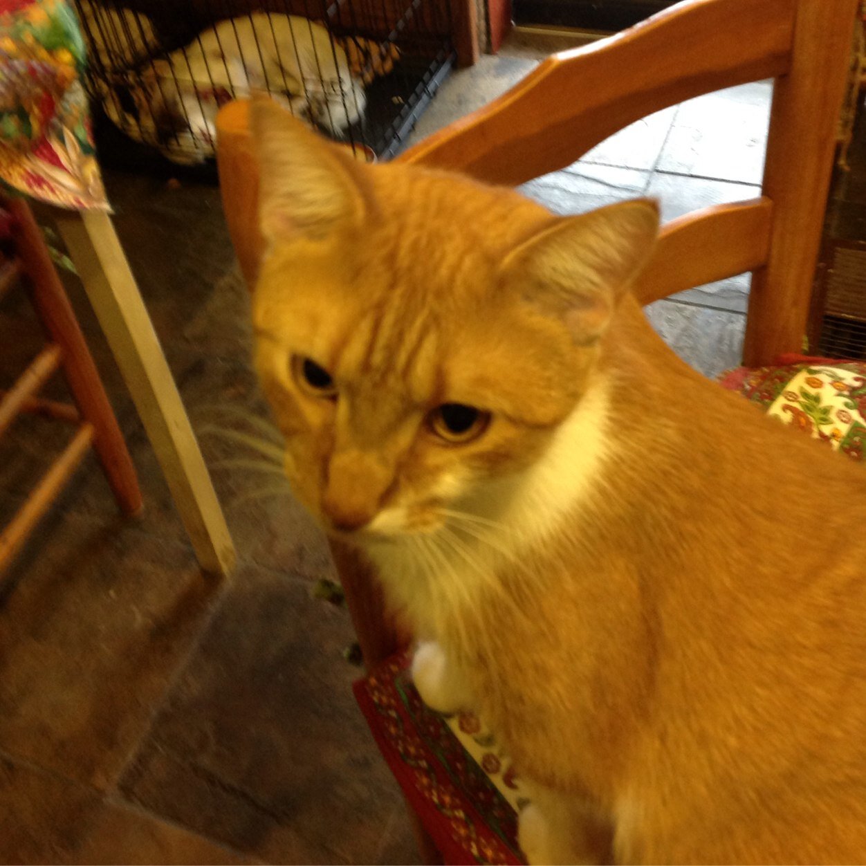 BlakeburnLeslie's profile picture. 