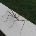 michael storer - @michaelstorer1 - Twitter