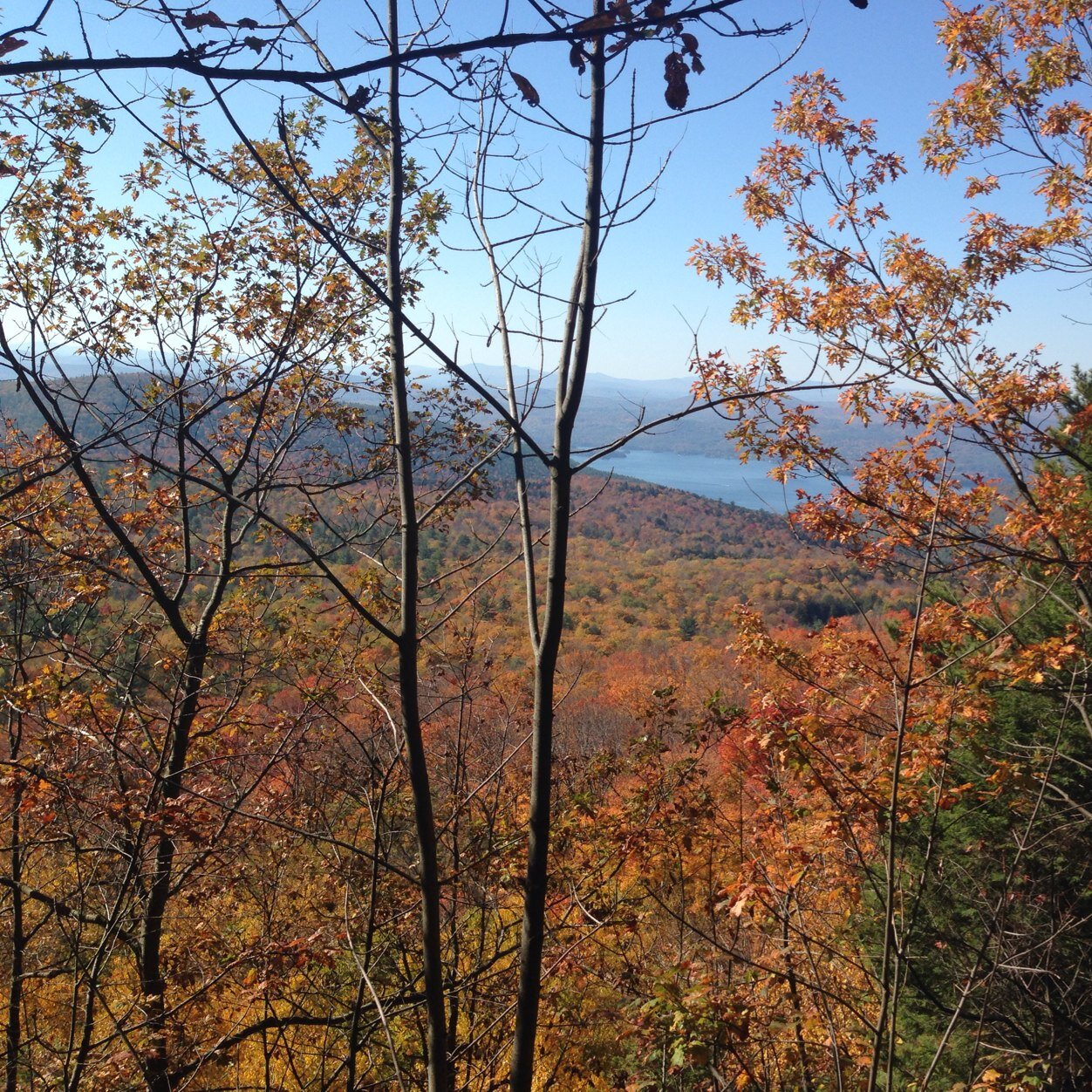 DanielCarmody5's profile picture. 