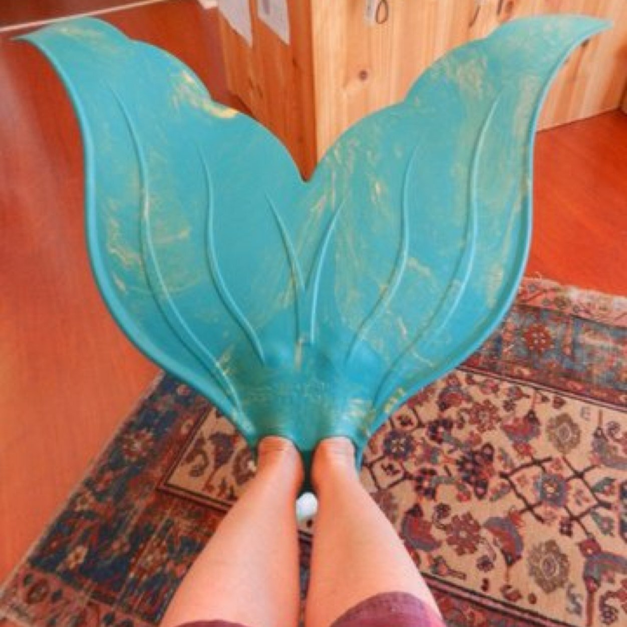 dawndawnfilm's profile picture. interested in stuff