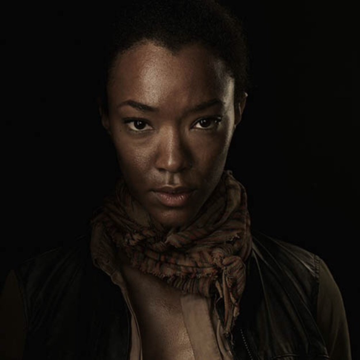 I dont believe in magic or luck, I do the math and I dont gamble| survivor of the prison sickess and the apocalypse| not Soniqua Martin Green|18+| created1/4/14