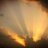 malak8_8's profile image