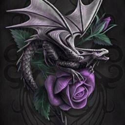 MithrilWolfe's profile picture. Denver Broncos fan, love all things Disney