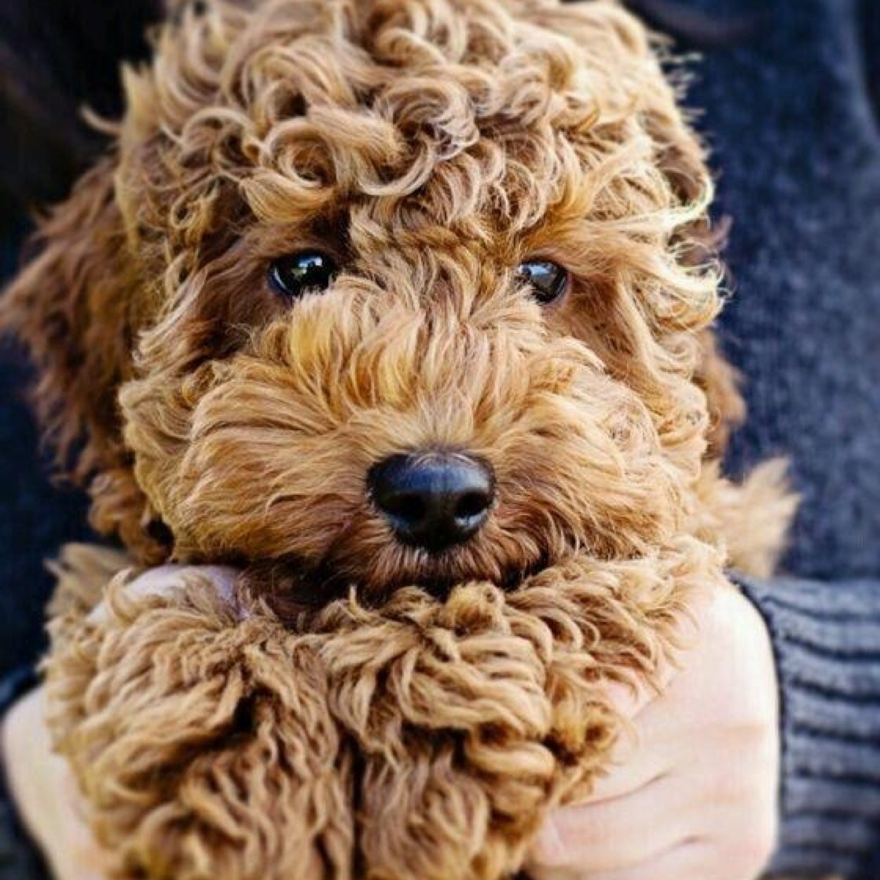 o_o_2012's profile picture. إذا || عشق || الرجُل امرأة وخسرها ماتت في عينه گل النساء ..!!”