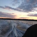 Billie Joe Beagle - @Beejayberus - Twitter