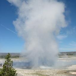 xatnet's profile picture. 