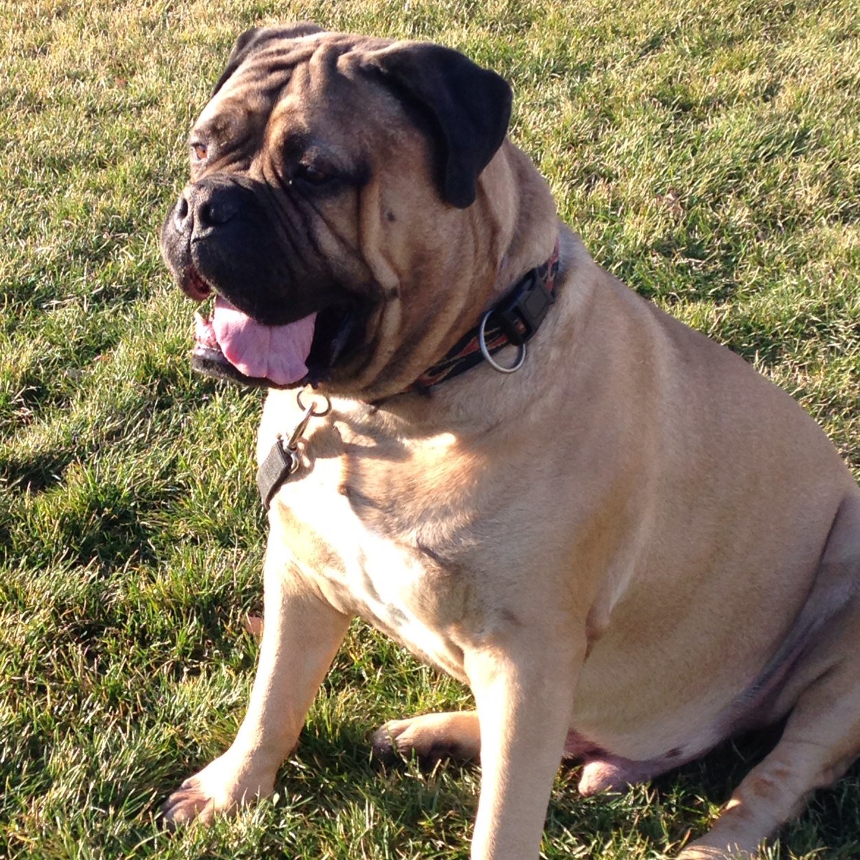 ausinstates's profile picture. Australian who has lived in Sacramento since 1999. Father, husband - Kings, A's and Browns fan. Yes, a Browns fan....