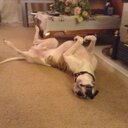 Simon Cameron - @SimonCameron3 - Twitter