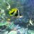 tomoaki3152's profile image