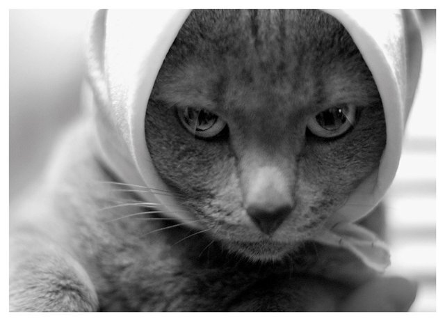 LadiSergeeva's profile picture. Приглашаю всех, кто любит и умеет готовить, и просто поклонников вкусной еды. Взаимный фолловинг приветствуется.