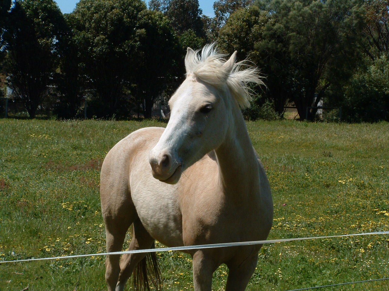 Blitzen143's profile picture. Earthling, nature lover, compassion for all living beings. Feminist, Greenie. Beauty in nature nourishes my soul. Ignorance sucks and assumptions are dangerous.