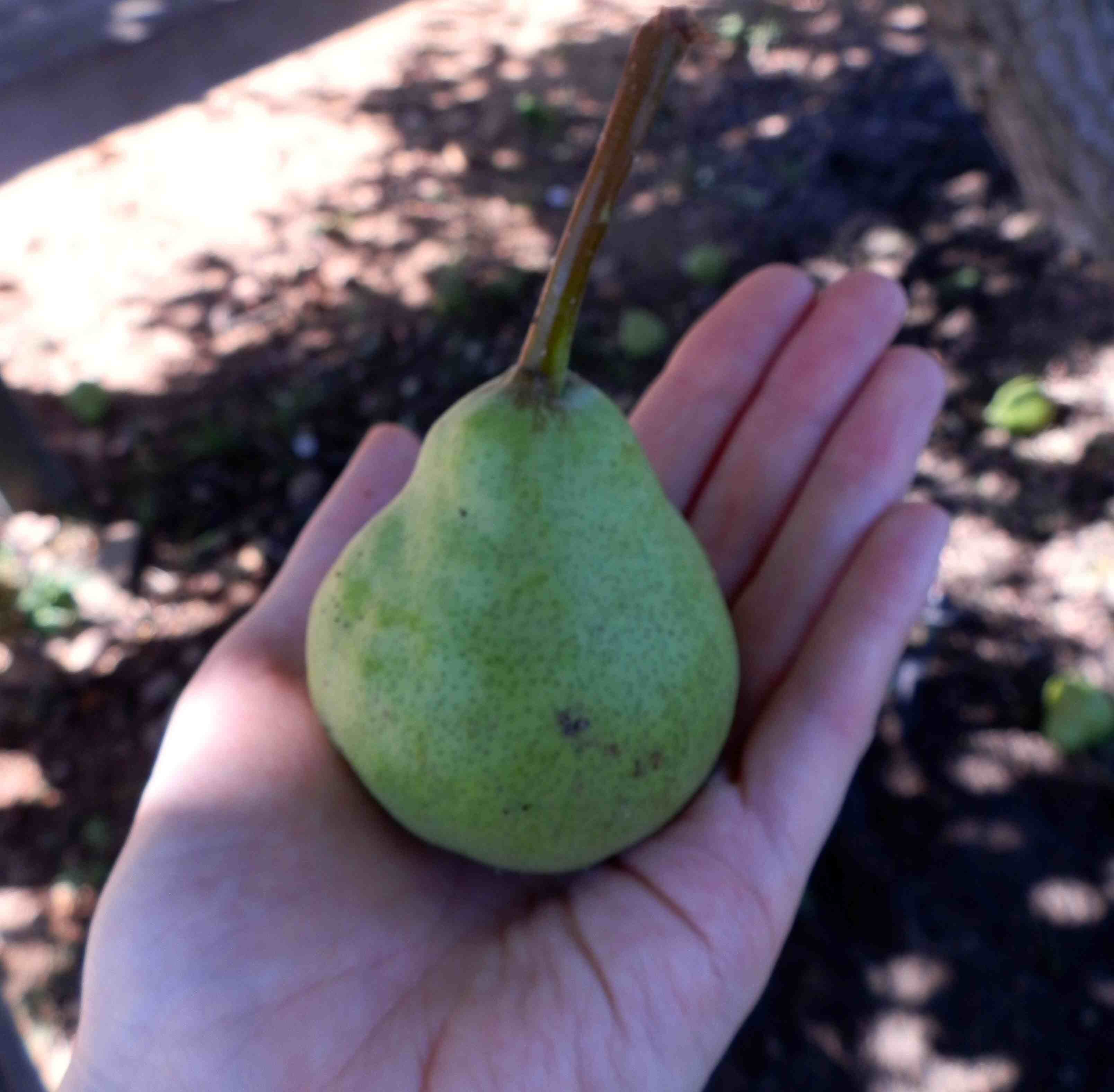 thespademaiden's profile picture. http://t.co/wAwKGggxBm