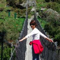 Teresa Iacono (@tami_tagged) 's Twitter Profile