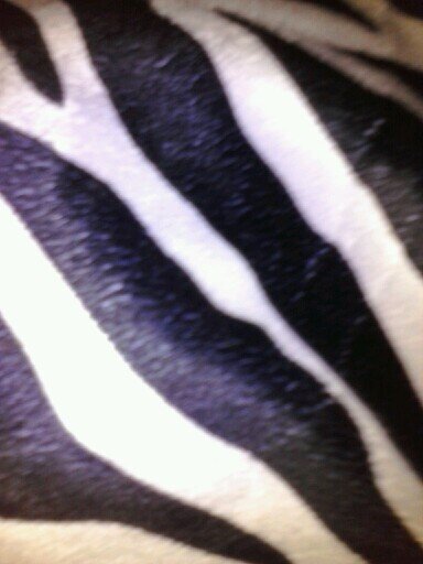 kaylacoon36's profile picture. friends come and go!! :-)