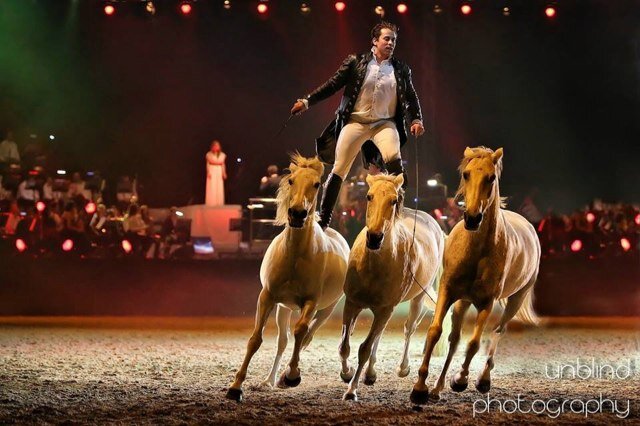 showlorenzo's profile picture. LORENZO International Horse Show, Acrobate rider, show man, equestrian display, dressage, liberty, horses, roman riding, hungarish post,