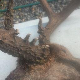 squrl1's profile picture. #utah #bored