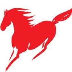 CNYblog's profile picture. Chinese Lunar New Year Celebrations