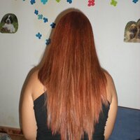 no al maltrato  (@noalmaltrato10) 's Twitter Profile