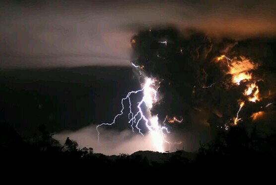 xzzz0123's profile picture. 