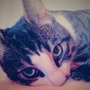 Elisa Maria milo - @ElisaMariaMilo - Twitter