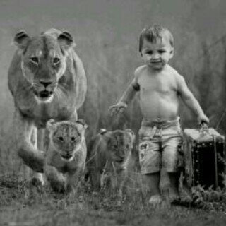 aaa_92785's profile picture. 