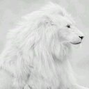 reno * (@0542reno) Twitter
