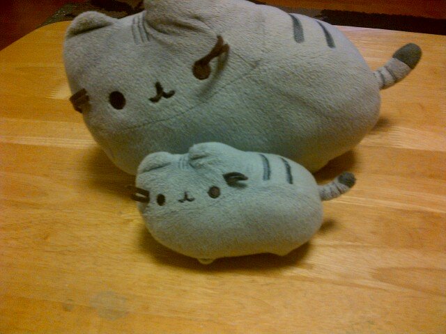 Job: PDM. Favorite : Pusheen. 持ち球:フック. ニワカゆーりんちー