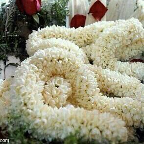 yahya12345188's profile picture. ﻻاله اﻻ الله